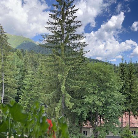 Casa Iris-Hotel & Restaurant Sinaia Dış mekan fotoğraf