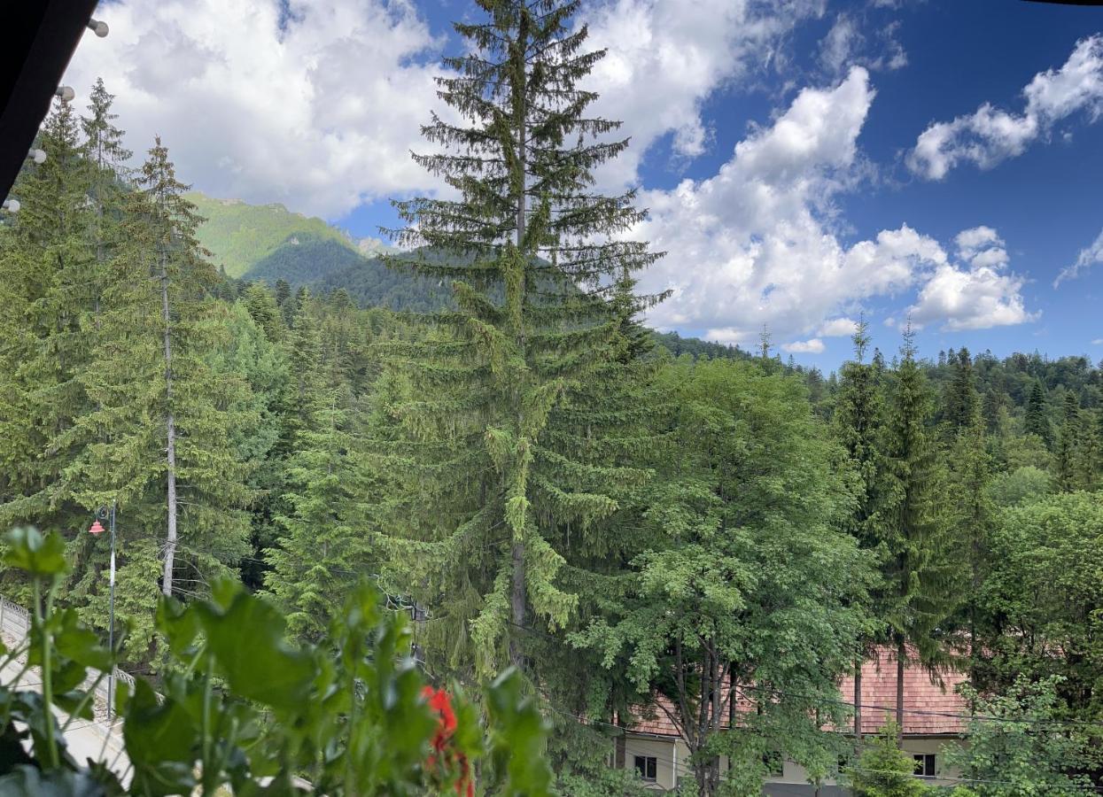 Casa Iris-Hotel & Restaurant Sinaia Dış mekan fotoğraf